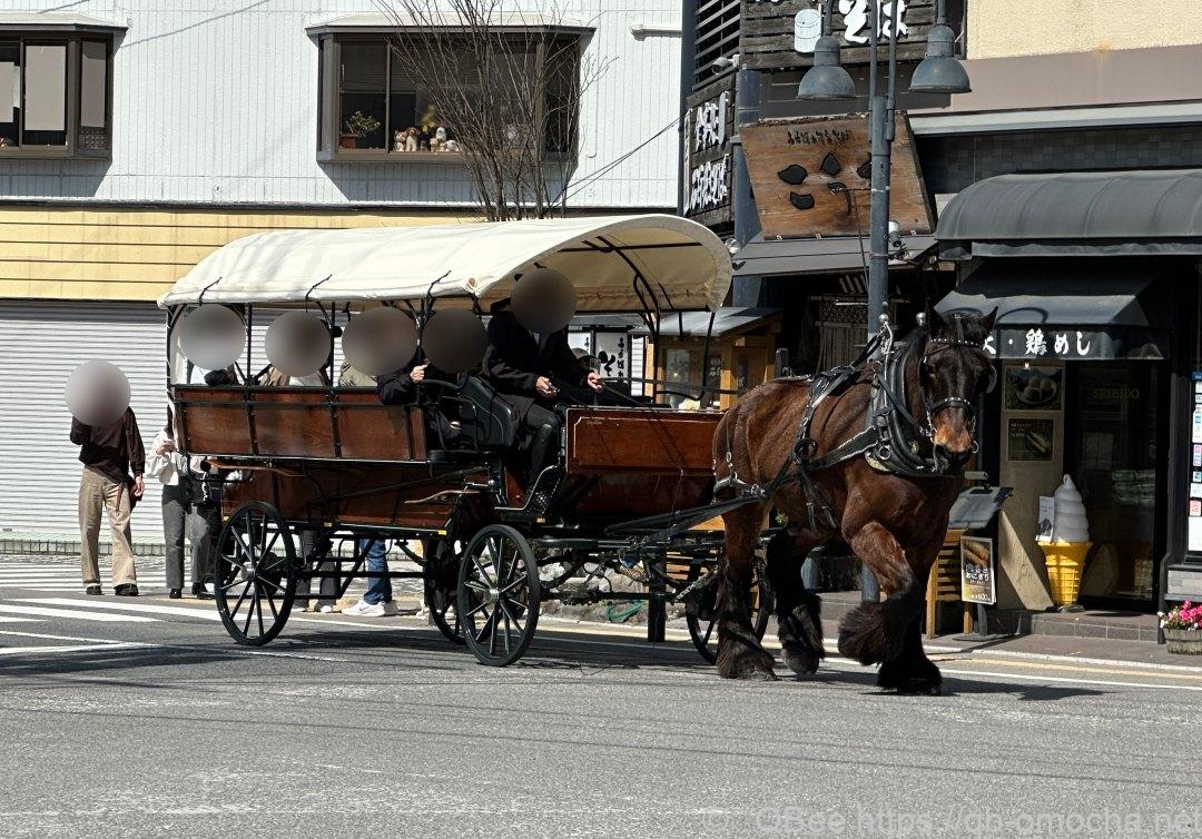 観光辻馬車の外観写真